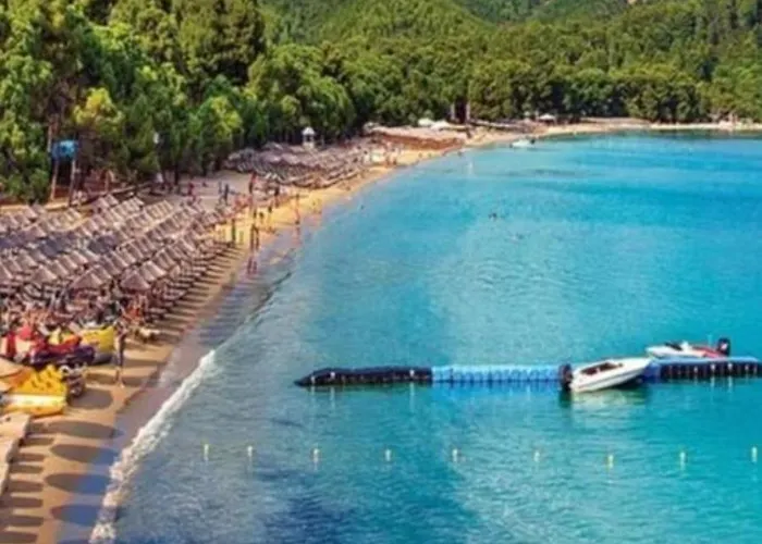 Apartament Final Step *